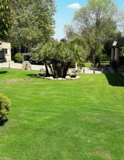 empresa-jardinería-la-moraleja