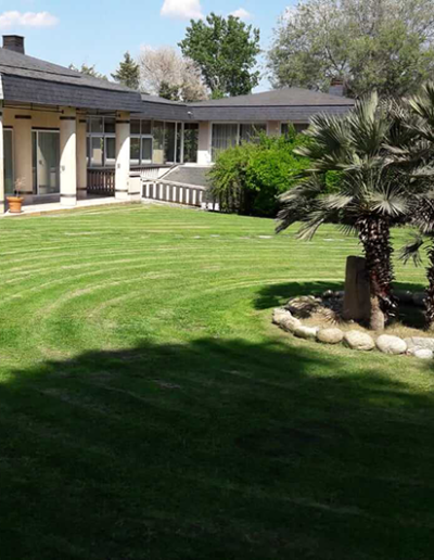 jardin-la-moraleja