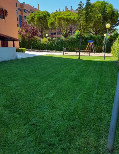 empresa-jardinería-madrid