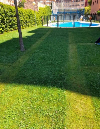 empresa-jardineria-madrid