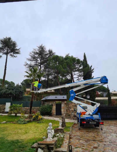 poda-en-altura-ciudalcampo